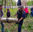 Волонтеры ликвидируют последствия урагана в парке «Наташинские пруды» - Люберецкая газета