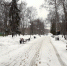Сыро и слякотно будет в Люберцах - Люберецкая панорама