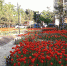 Теплая, но местами дождливая погода ожидает люберчан - ИнфоЛюберцы