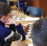 12 лучших шахматистов Люберец встретятся в финале окружного чемпионата - ИнфоЛюберцы