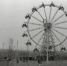 парк 2 (2).jpg - Люберецкая панорама