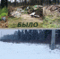лес.jpg - Люберецкая панорама