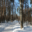 42114628_SXn5NpQwuHvioRWCmWuVcTUP8iONp9HZAsf4QIH0p74.jpg - Люберецкая панорама
