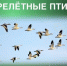 i.jpg - Люберецкая панорама
