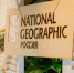 Проект «ЭкоЛогичное Подмосковье» стал лауреатом премии National Geographic - LubertsyRIAMO.Ru