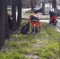 Более 320 куб м мусора вывезли с дорог Люберец за прошедшую неделю - LubertsyRIAMO.Ru