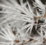 Прошедшая ночь стала самой морозной в Москве с начала года - LubertsyRIAMO.Ru