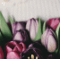 © Unsplash,  Brigitte Tohm - LuberNet.Ru