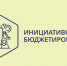 Жители Люберец проголосуют за понравившийся проект по инициативному бюджетированию - Городской округ Люберцы