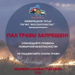 Пал травы_3.jpg