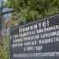 В Подмосковье поисковики нашли захоронение пациентов психбольницы - LubertsyRIAMO.Ru