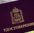 Внештатные инспекторы в Подмосковье выявили более 21 тыс дефектов содержания дворов - LubertsyRIAMO.Ru