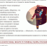 Жителям Люберец напомнили о необходимости соблюдения правил пожарной безопасности - Телеканал ЛРТ