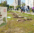 Более 5 тысяч жителей Люберец поучаствовали в посадке деревьев в рамках акции «Лес Победы» - Телеканал ЛРТ