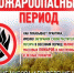 Спасатели предупредили жителей Люберец о продлении желтого уровня пожароопасности - Городской округ Люберцы