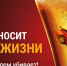 Сотрудники ГАИ Люберец усилят контроль за нетрезвыми водителями - Телеканал ЛРТ