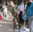 В Люберцах собрали 15 тонн макулатуры и электроники и сыграли в КорнХол - Regions.Ru