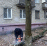 Аварийные службы Люберец устраняют последствия сильного ветра - Городской округ Люберцы
