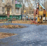 Десять народных троп обустроены в посёлках Томилино и Октябрьский городского округа Люберцы - Городской округ Люберцы