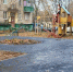 Десять народных троп обустроены в посёлках Томилино и Октябрьский городского округа Люберцы - Телеканал ЛТВ