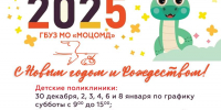 Московский областной центр охраны материнства и детства в Люберцах изменит график работы в новогодние праздники - Телеканал ЛТВ