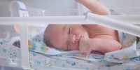 Порядка 4 000 детей родились в люберецком роддоме МОЦОМД в 2024 году - Телеканал ЛТВ