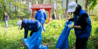Экоакция «Чистый лес» прошла в Островцах городского округа Люберцы - Телеканал ЛТВ