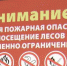 Ограничение пребывания людей в лесах области введено с 29 мая по 3 июня - Городской округ Люберцы