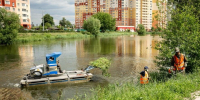 В Островцах началась очистка Баулинского пруда - Regions.Ru