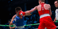 Люберецкий боксер завоевал золото чемпионата Центрального федерального округа - Телеканал ЛТВ