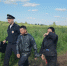 Зоозащитники спасли 30 щенков от рабочих-живодеров - Regions.Ru