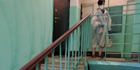 «Ковер из живых тараканов» в подъезде дома на Октябрьском проспекте пришлось убирать УК - Regions.Ru