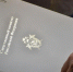 Бастрыкин затребовал доклад о расследовании дела о хулиганстве в Люберцах - Regions.Ru