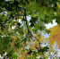 Синоптик Тишковец: Подмосковье ждет резкая смена погоды с похолоданием до +7 градусов - Regions.Ru