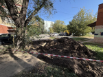 Фото: МедиаБанк Подмосковья/Анна Дука