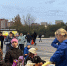 Почти 100 кг корма для бездомных животных собрали молодогвардейцы Люберец - Телеканал ЛТВ