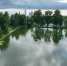 Семь водоемов расчистили в Люберцах в 2025 году - Городской округ Люберцы