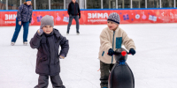 В Люберцах к зиме оборудуют три катка с искусственным льдом - Regions.Ru