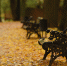 Циклон с Атлантики обрушит на Подмосковье сильные дожди около 10 мм, днем до +8° - Regions.Ru