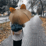 Синоптик Тишковец: холодный фронт принесет в Подмосковье ливни, затем потеплеет до +6° - Regions.Ru