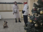 Фото: МедиаБанк Подмосковья/Наталья Лымарь