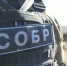 При поддержке спецназа Росгвардии: в Люберцах задержан подозреваемый в краже из частного дома - Regions.Ru