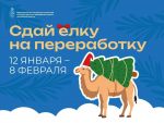 Девять пунктов приема новогодних елок на вторичную переработку организованы в Люберцах