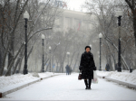 В Подмосковье ударят морозы до -20°: прогноз синоптиков на ближайшие дни