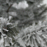 От -3° до -13°: Подмосковье ждут снег, небольшое потепление и возвращение морозов - Regions.Ru