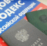 Нелегальная занятость, её последствия и регулирование - Телеканал ЛТВ
