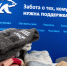 Акция «Тепло для героя» проходит в Люберцах - Телеканал ЛТВ