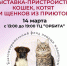 Выставка-пристройство животных из приютов пройдет в Люберцах 14 марта - Городской округ Люберцы