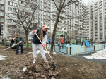 43 двора привели в порядок на первом субботнике в Люберцах