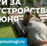 Один из трех объектов для благоустройства в 2027 году могут выбрать жители Люберец на портале «Госуслуги» - Телеканал ЛТВ